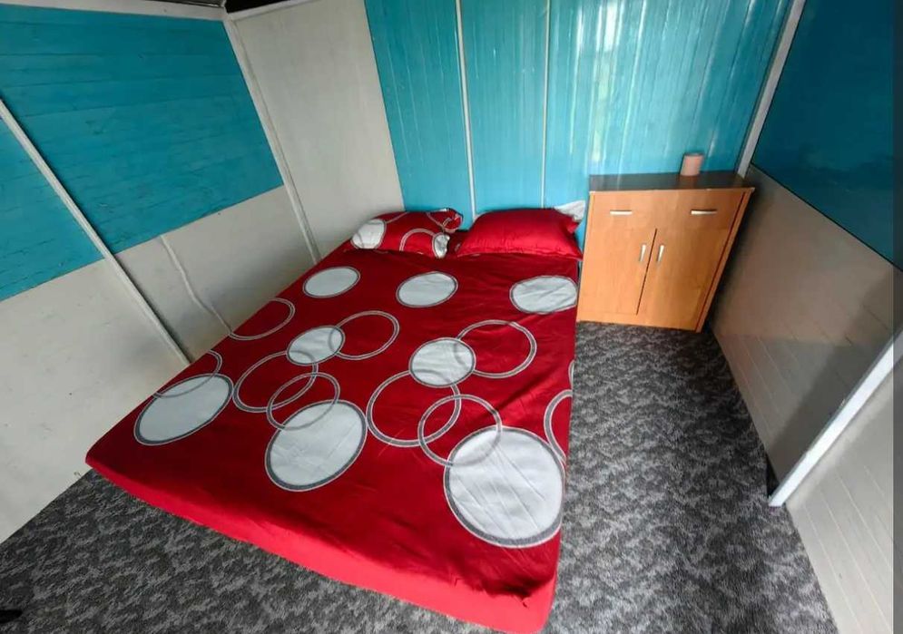 6 casute de inchiriat langa ALEXANDRIA