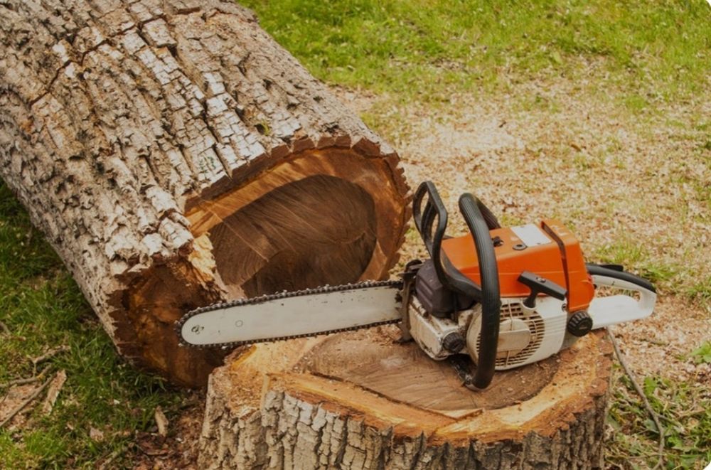 Спил и обрезка деревьев