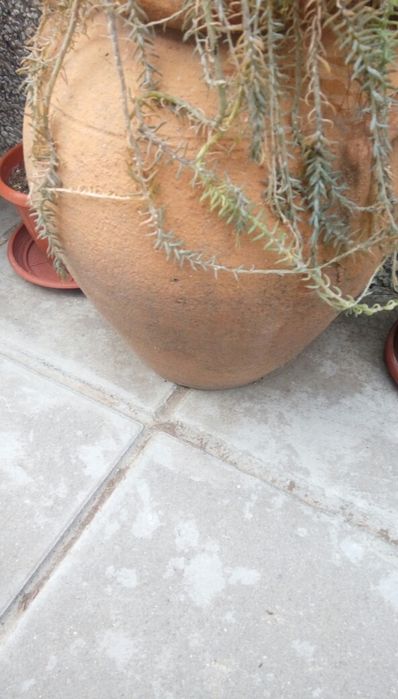 Битови предмети за декорация и ползване