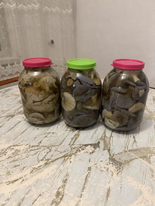 Продам грибы рядовка!!!