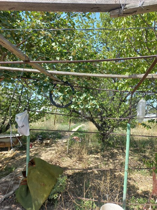 Срочно дача продается 12 соток