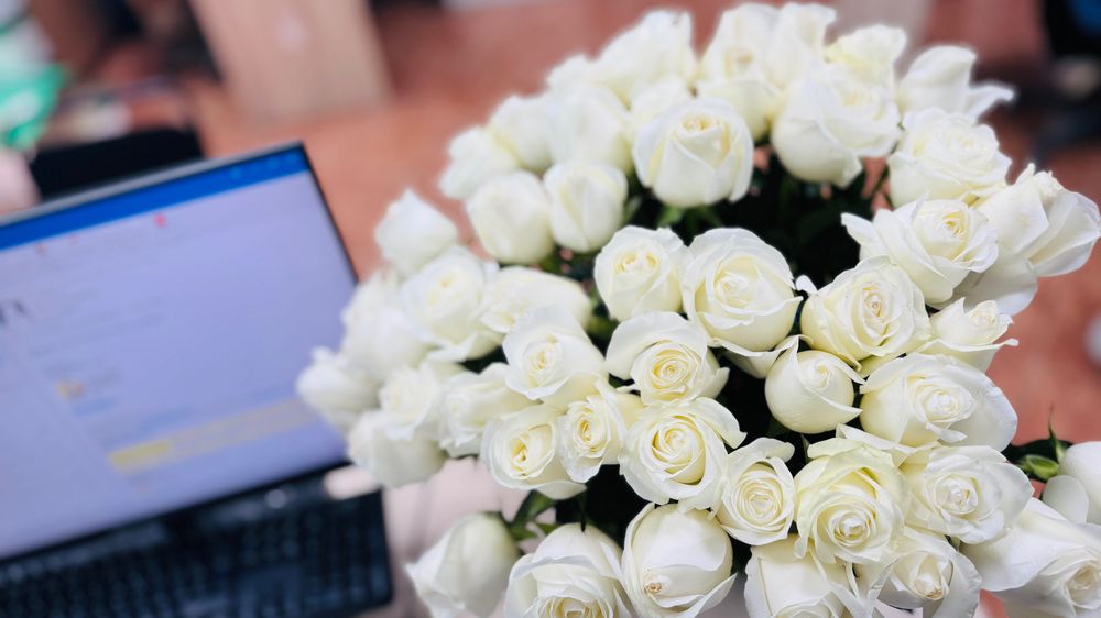 Букет белых роз 51шт