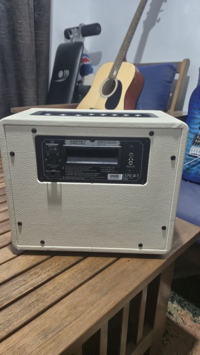 Mooer Hornet Modeling/BT Combo WH