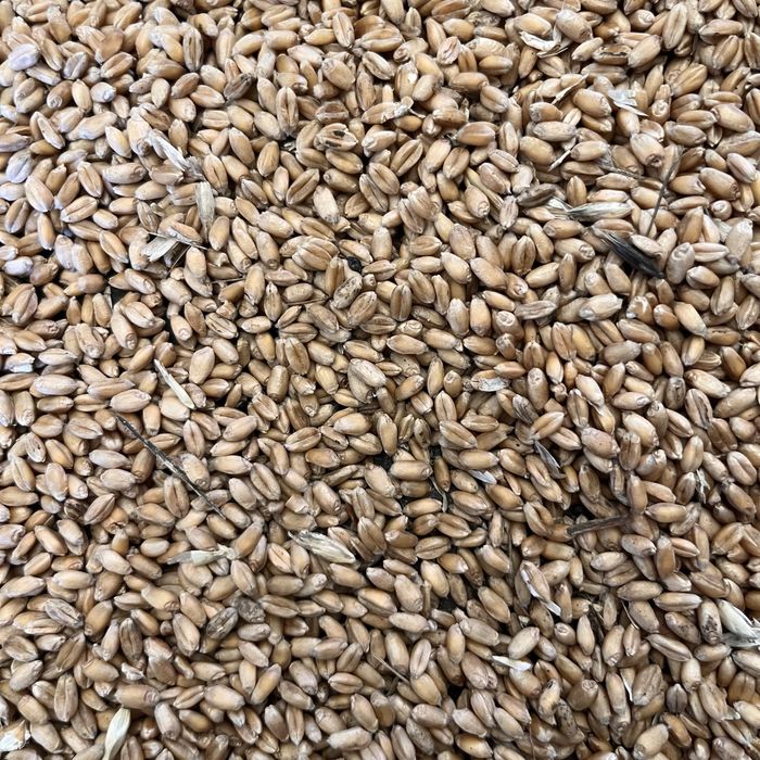 Зерносмесь ячмень пшеница зерноотход