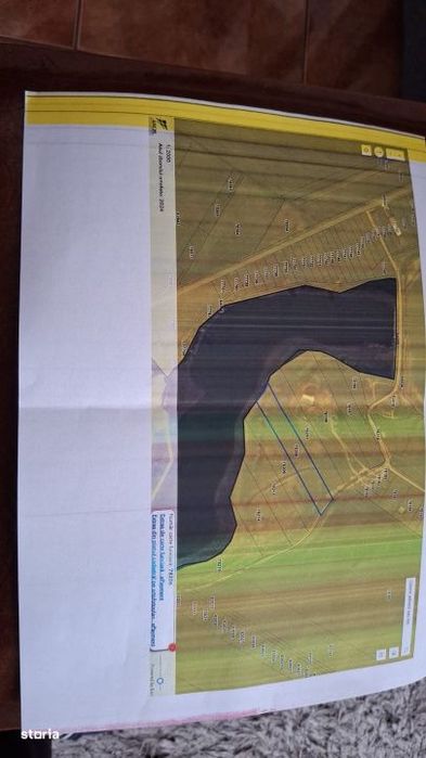 Teren la Balta La Gropi Berceni, Vidra, Ilfov