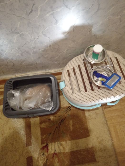 Продам кошачий набор