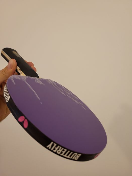 Paleta tenis de masa Ping Pong Sanwei+ Kokutaku | de Control și Spin