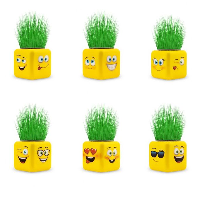 Емотикончо Тревичко - подарък за всеки повод