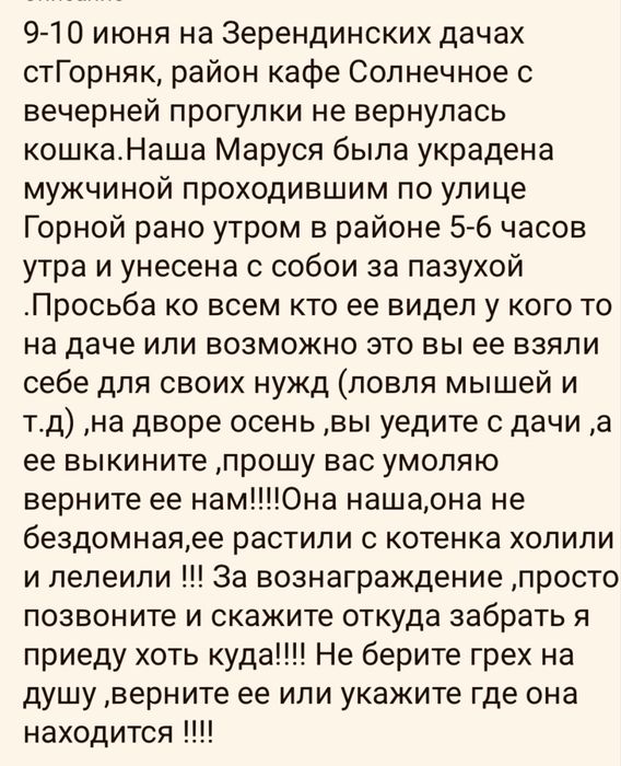 Кошка Маруся ,умная,ласковая