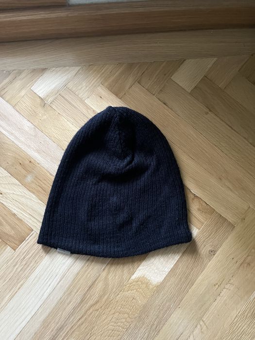 Caiulca neagra de iarna