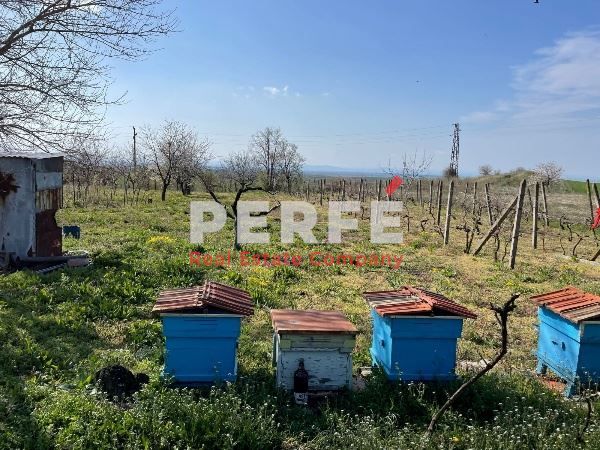 Продава се Къща в Каблешково - 120 кв.м за 709 €/кв.м - Снимка #8