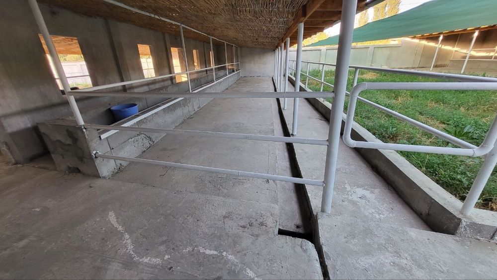 Очень срочно продается готовая ферма 20 соток Янгиюль по трассе м39