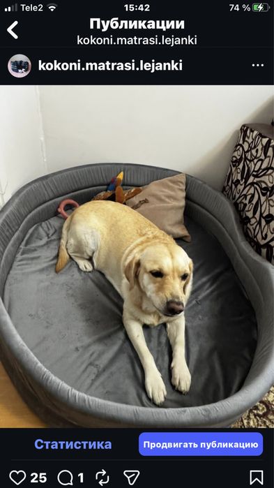 лежанки для животных