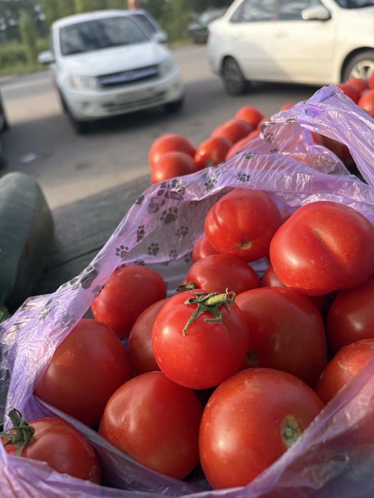 Продаю помидоры с дачи