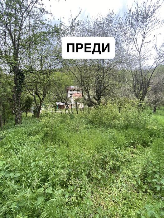 Косене и поддръжка на имоти