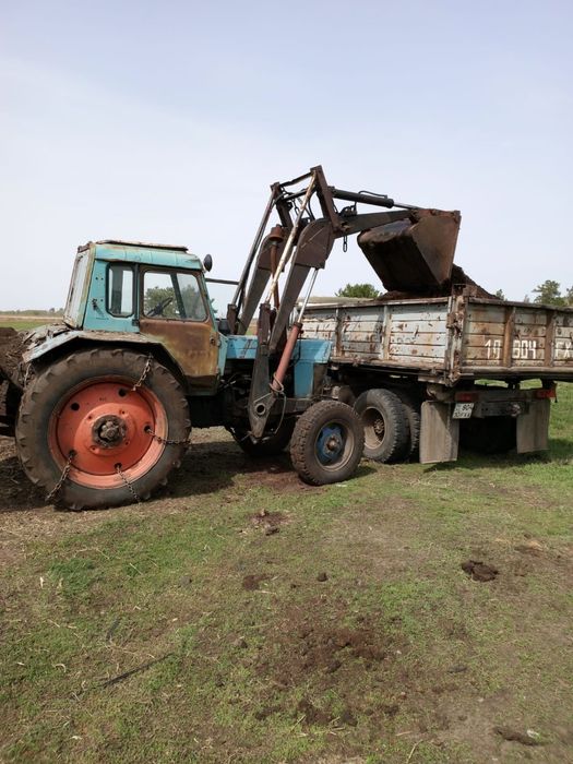 Перегной коровий