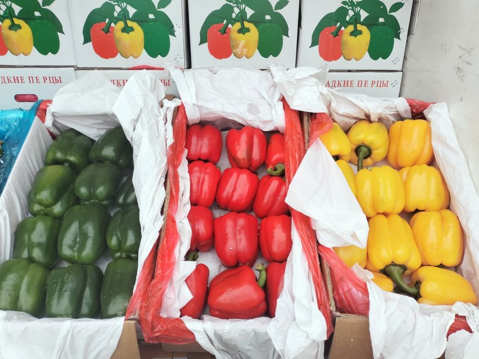 Сладкий болгарский перец (светафор)