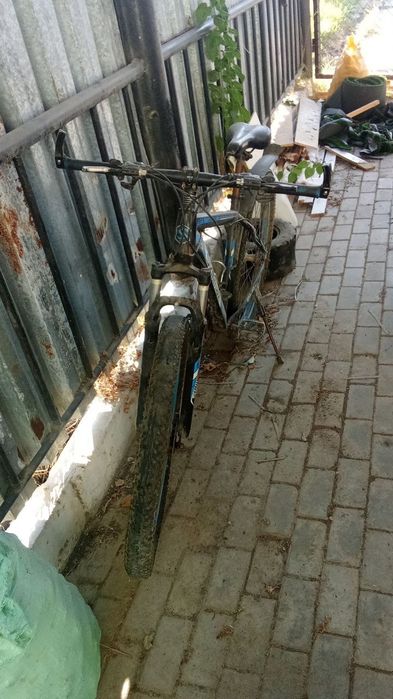 Veloseped ragi ko'k