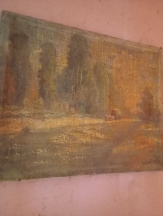 Картини стари над 20броя