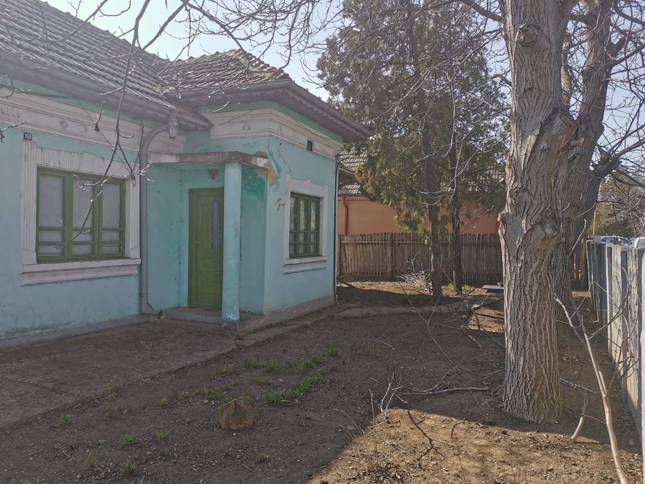 Vand casa in Corabia str Dumitru Buzdun vedere la Dunare