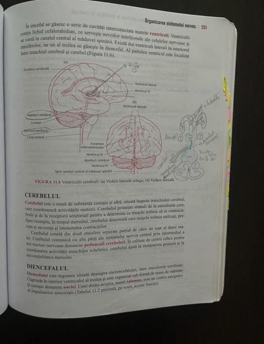 carte barrons pentru medicina