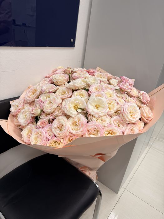Продам свежие новые цветы