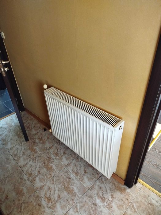 Камина с водна риза