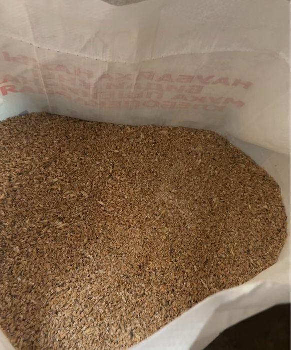 Зерно Ячмень Авес дробленка