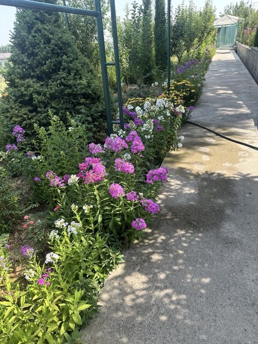 Продается Дача в Кибрайском районе