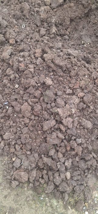 коровий навоз трёхгодичный