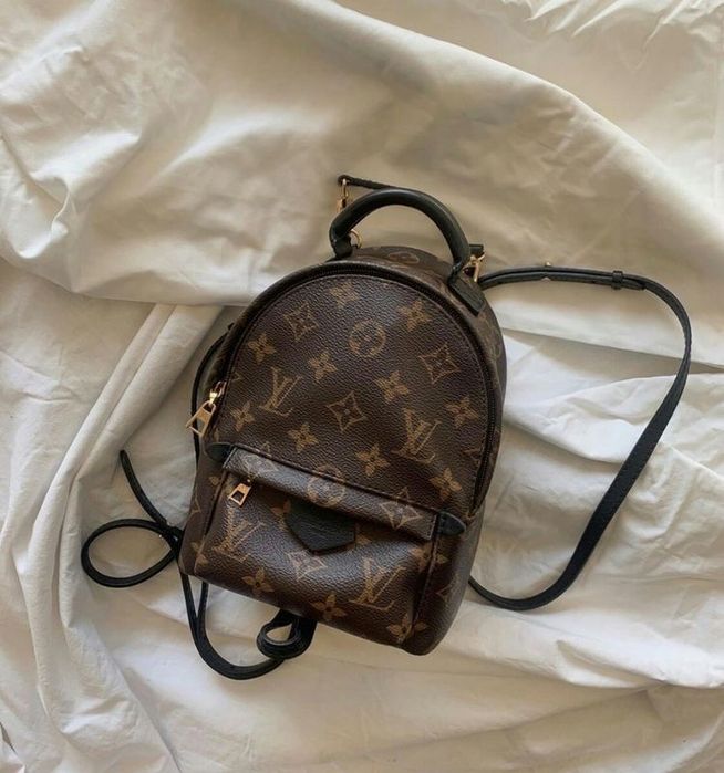 Louis Vuitton Palm Springs Mini