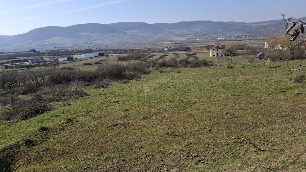 Teren intravilan zona Crainimat la stradă