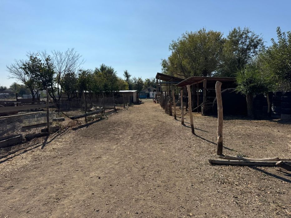 Үлкен үй.       .