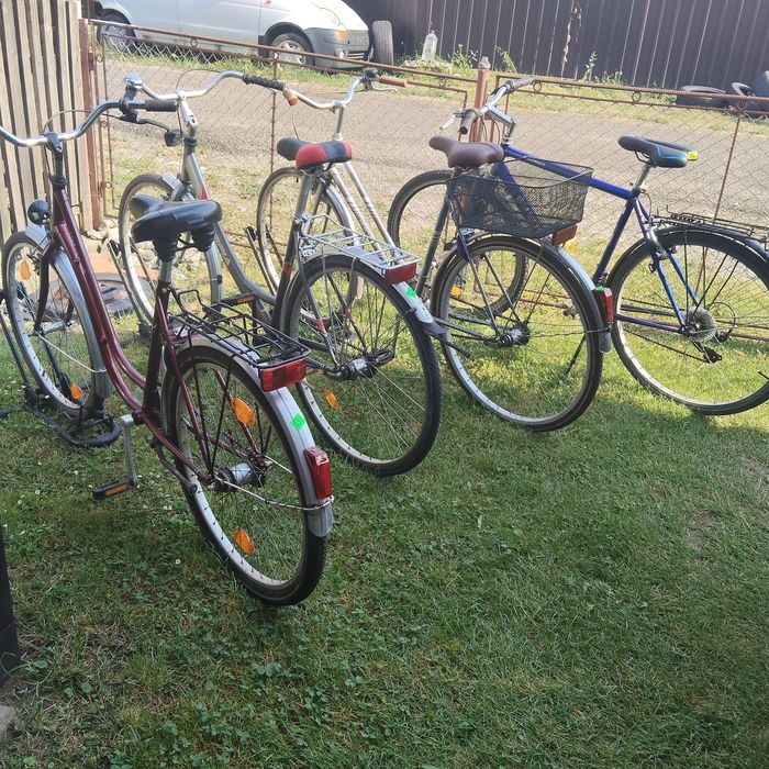 Bicicleta olandeză adulți /damă single speed