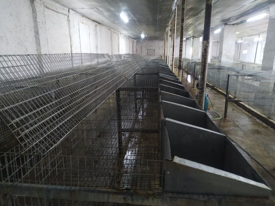 Клетка для кроликов