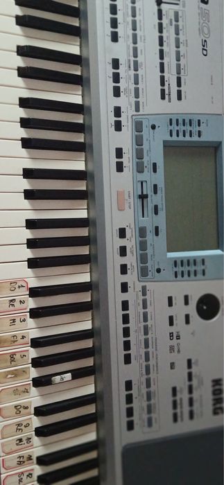 Vand orga Pa 50 SD