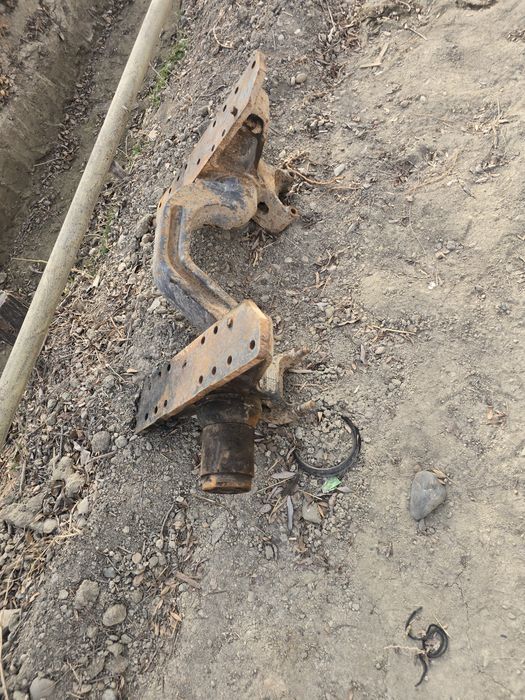 Shakman telichka chakman