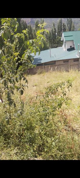 Продаётся участок 8 соток в Чимгане. Ер сотилади 8 соток Чимёнда.