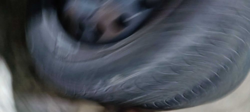 Диски с резиной R15