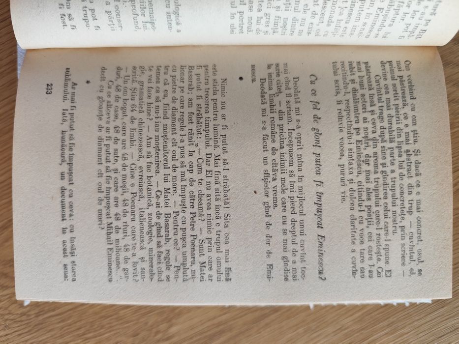 Filozofia poeziei- Nichita Stănescu