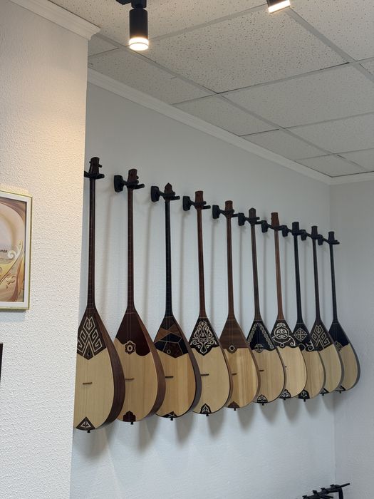 Кәсіби домбыра Ақтөбе қаласы