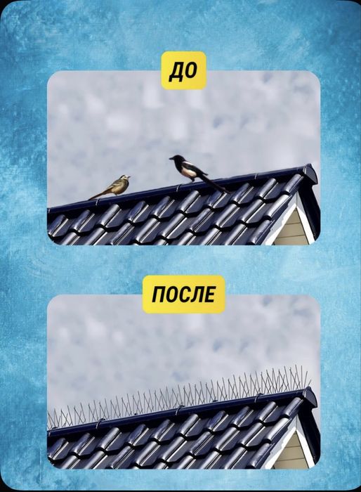 Шипы отпугиваюшие птиц противоприсадочные