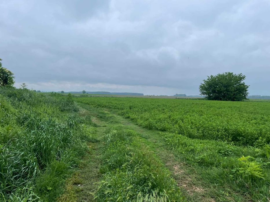 Продава се Парцел в с. Ягодово, Област Пловдив - 2750 кв.м за 13 €/кв.м - Снимка #2