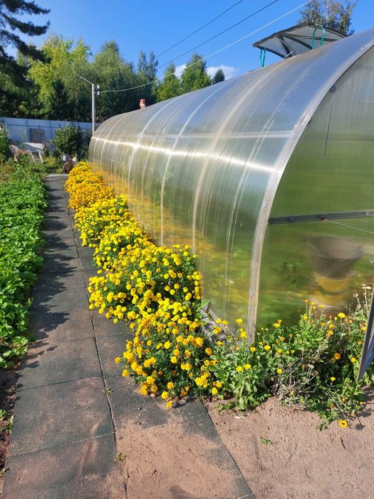Продам дачу 18 соток