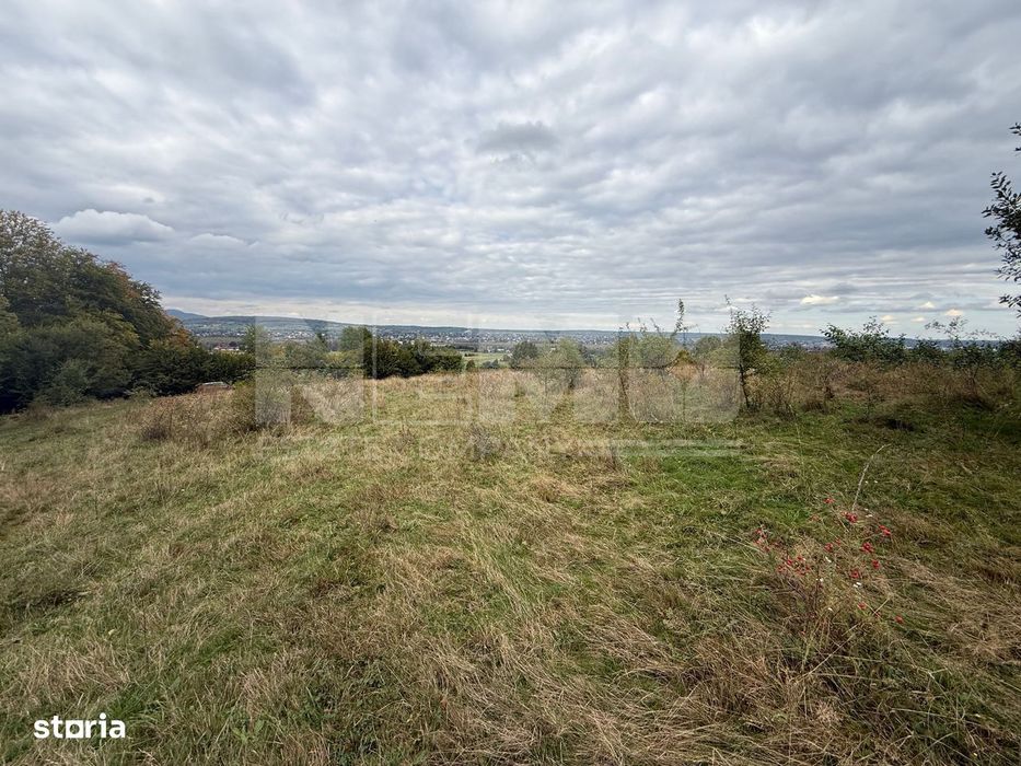 Teren de vânzare în Putna | 6.400 mp | 56 m front stradal