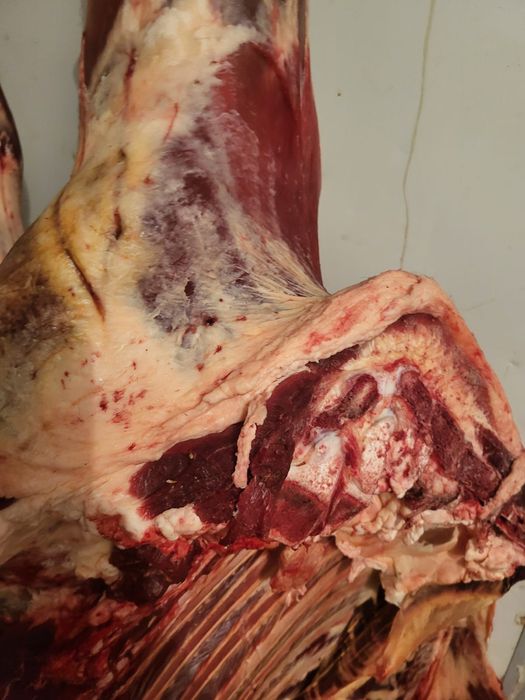 Говядина частями