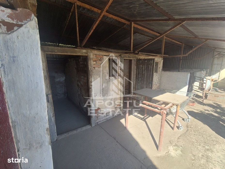 Proprietate Premium Teremia Mare - Apostu Estate