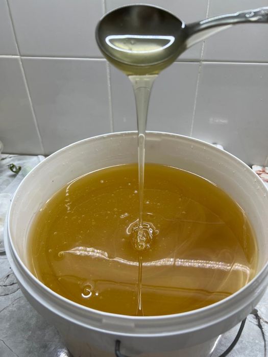 Натуральный свежий мед