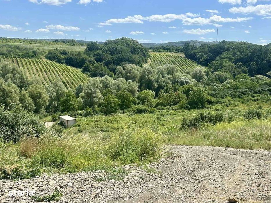 Rate la proprietar Teren intravilan 670 mp Vișan, Bârnova Iași