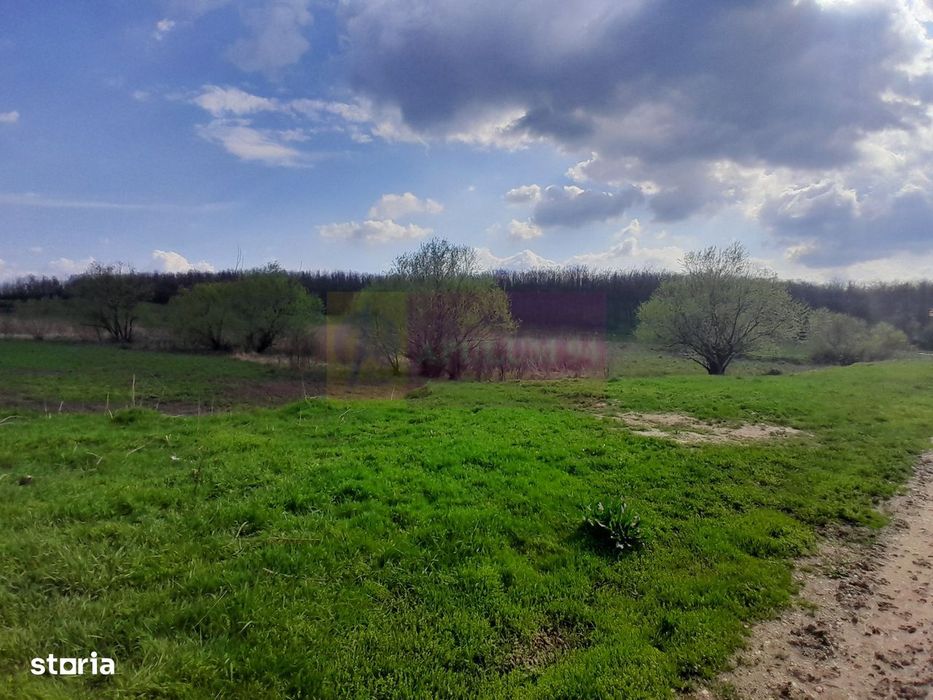 De Vanzare Teren 3400 Mp In Sat Podu Ilfovat / Com Buturugeni (Gr)
